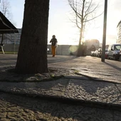 O PP denuncia a nefasta xestión do goberno local no ámbito de seguridade cidadá O PP denuncia a nefasta xestión do goberno local no ámbito de seguridade cidadá