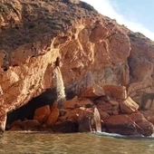Ecologistes en Acció estudia trasladar a fiscalía los vertidos de aguas fecales en el parque natural de Benidorm Ecologistes en Acció estudia trasladar a fiscalía los vertidos de aguas fecales en el parque natural de Benidorm