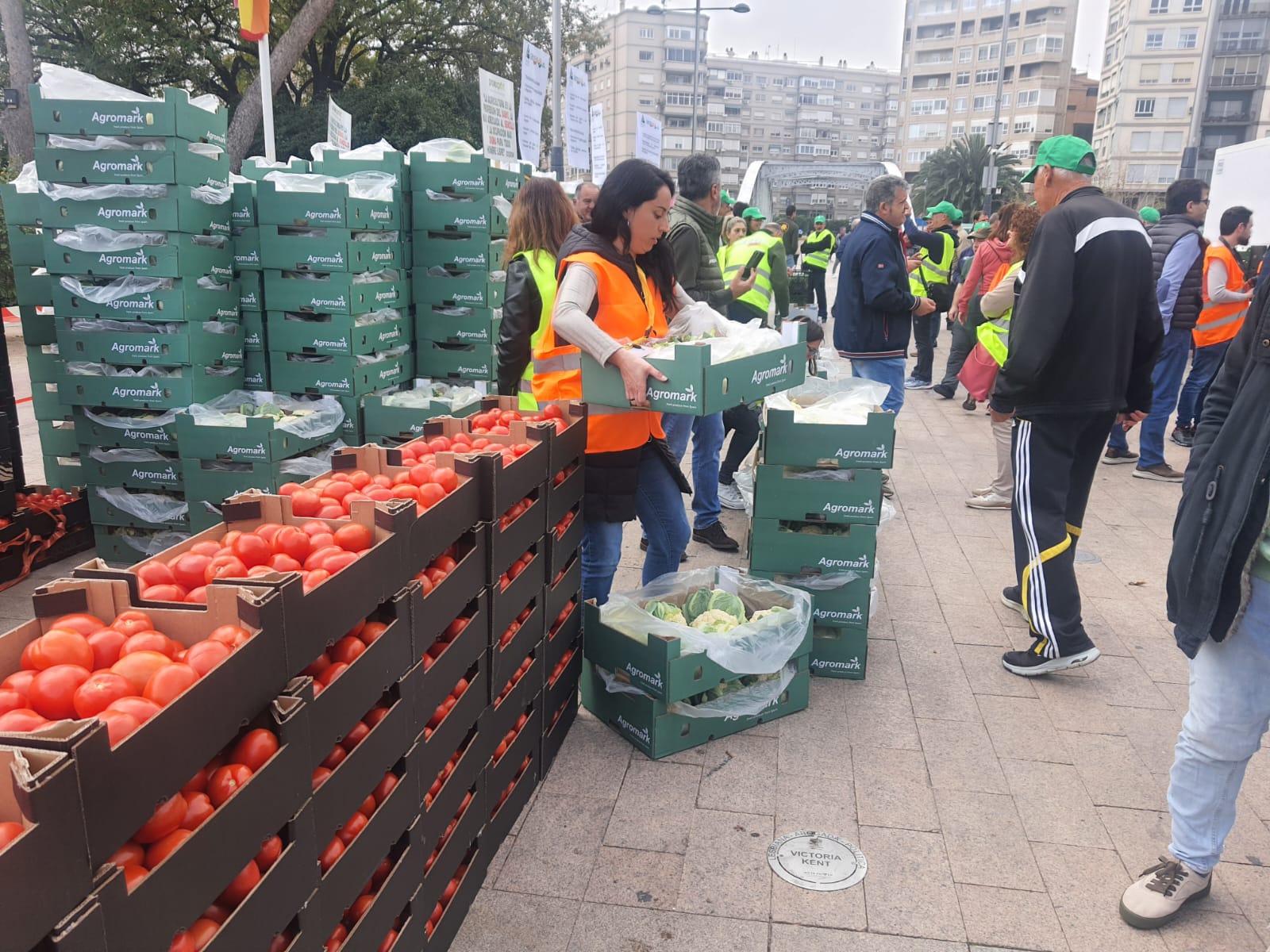 Las tractoradas provocan retenciones en diferentes autovías de la Región de Murcia Las tractoradas provocan retenciones en diferentes autovías de la Región de Murcia