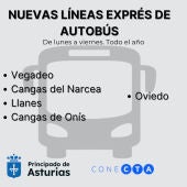 Llanes y Cangas de Onís contarán con nuevas líneas de autobús con Oviedo