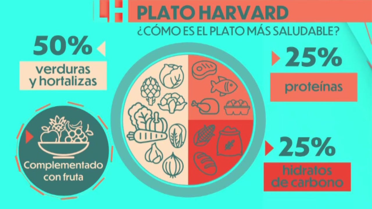 ¿conoces El Plato Harvard Para Comer De Forma Saludable Onda Cero Radioemk 6388