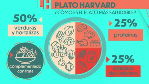 ¿Conoces el plato Harvard para comer saludable? ¿Conoces el plato Harvard para comer saludable?