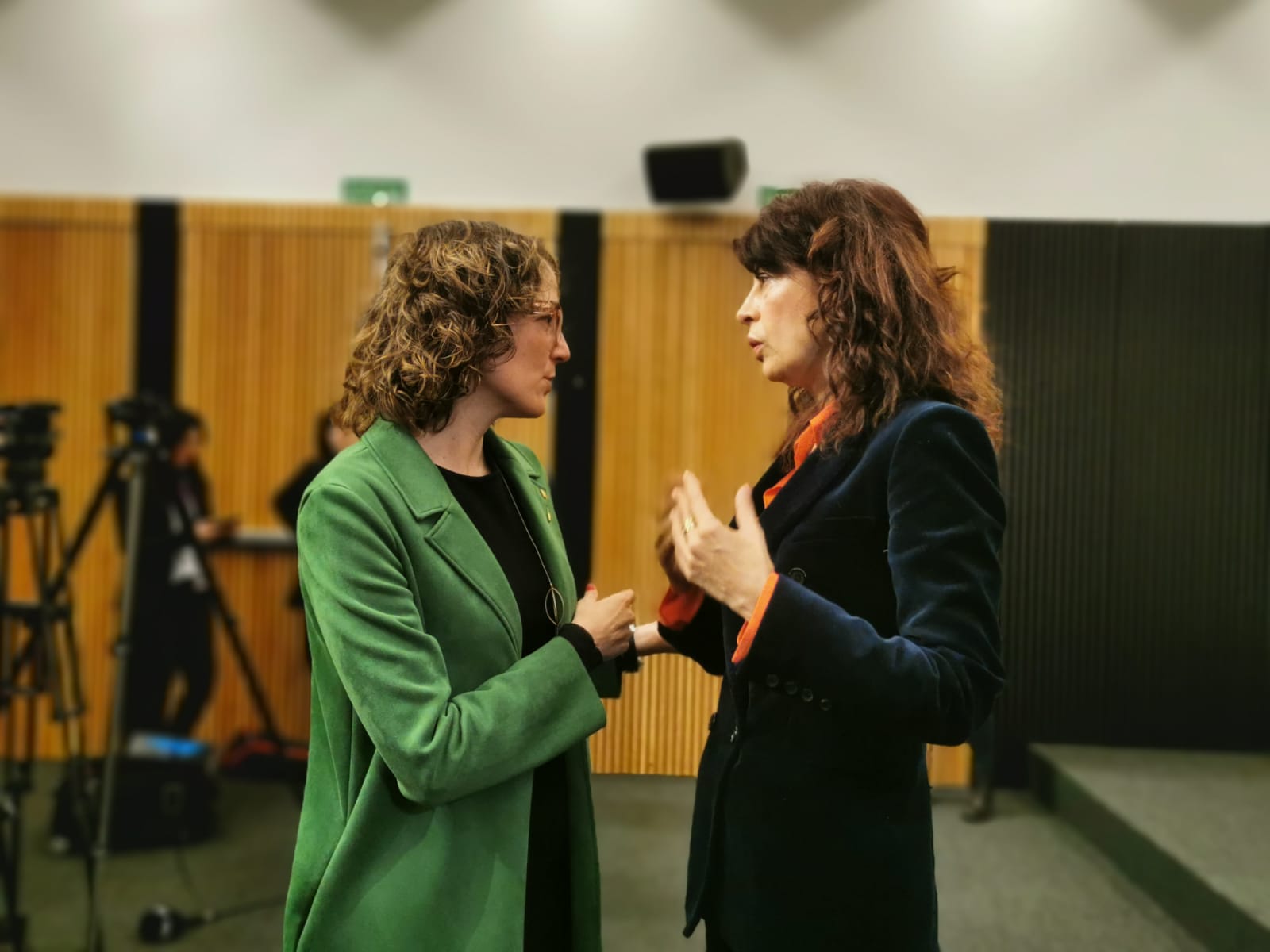 L'Estat es planteja comptar com a crims masclistes els feminicidis comesos més enllà de l'àmbit de la parella L'Estat es planteja comptar com a crims masclistes els feminicidis comesos més enllà de l'àmbit de la parella