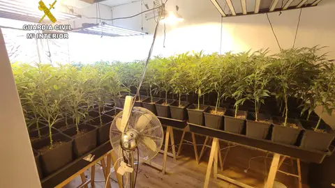 Operación antidroga en Escalona con varios detenidos Operación antidroga en Escalona con varios detenidos