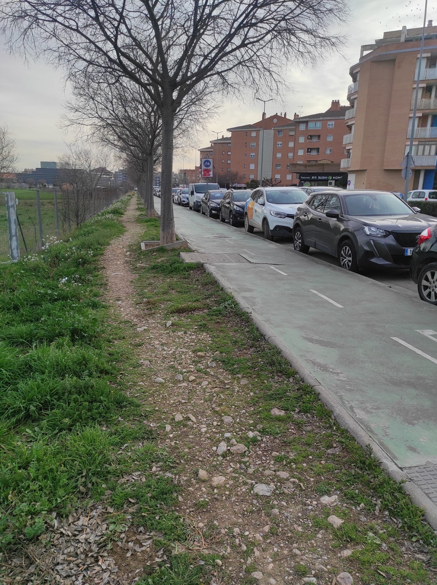 Verdes Equo solicita desdoblar la “acera bici” de la Avenida de los Danzantes Verdes Equo solicita desdoblar la “acera bici” de la Avenida de los Danzantes