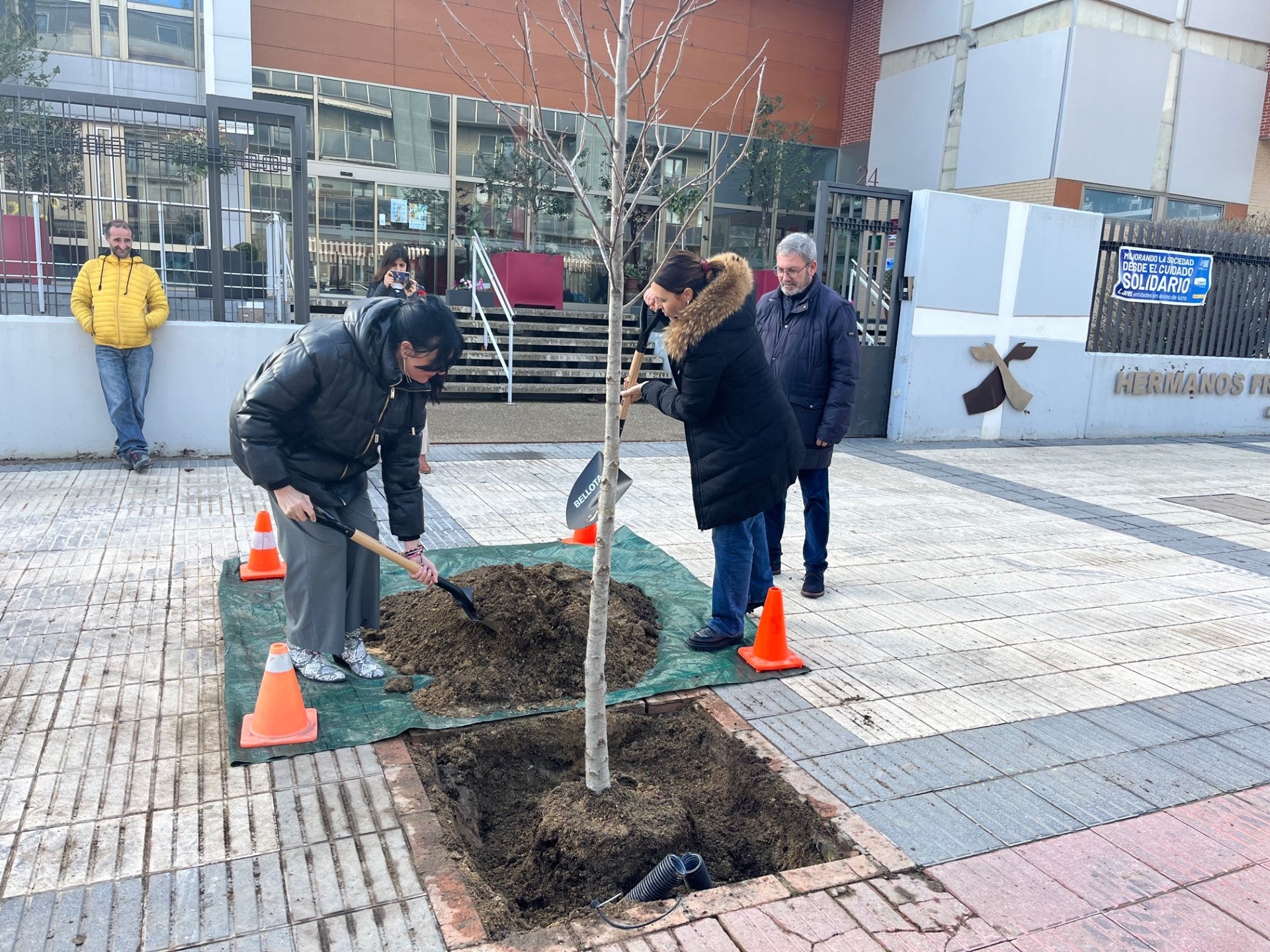 Medio Ambiente va a plantar 135 nuevos árboles en la capital oscense Medio Ambiente va a plantar 135 nuevos árboles en la capital oscense