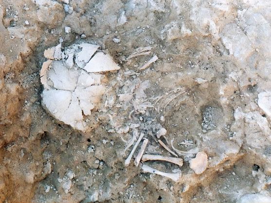 Los niños "dioses" de la Prehistoria Los niños "dioses" de la Prehistoria