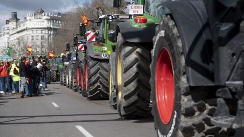 Una columna de tractores llega a la concentraci&oacute;n de agricultores en el Ministerio de Agricultura/ Alberto Ortega / Europa Press