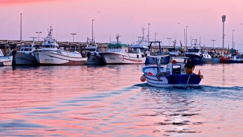 Pesqueros en el Puerto de Santa Pola