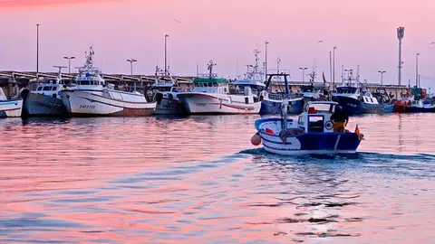 Pesqueros en el Puerto de Santa Pola Pesqueros en el Puerto de Santa Pola