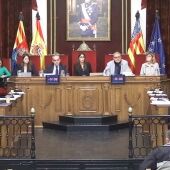 Pleno del Ayuntamiento de Elche del mes de febrero. 