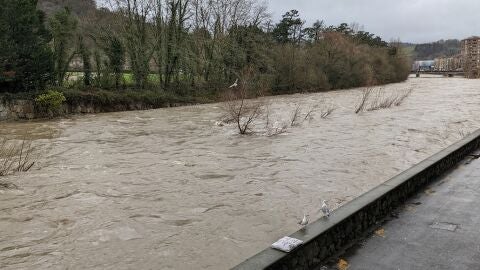 Rio Oria 