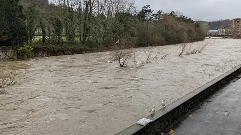 Rio Oria Rio Oria