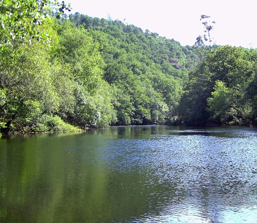 Altri necesitaría más agua para su planta que la consume toda la población de la provincia Altri necesitaría más agua para su planta que la consume toda la población de la provincia