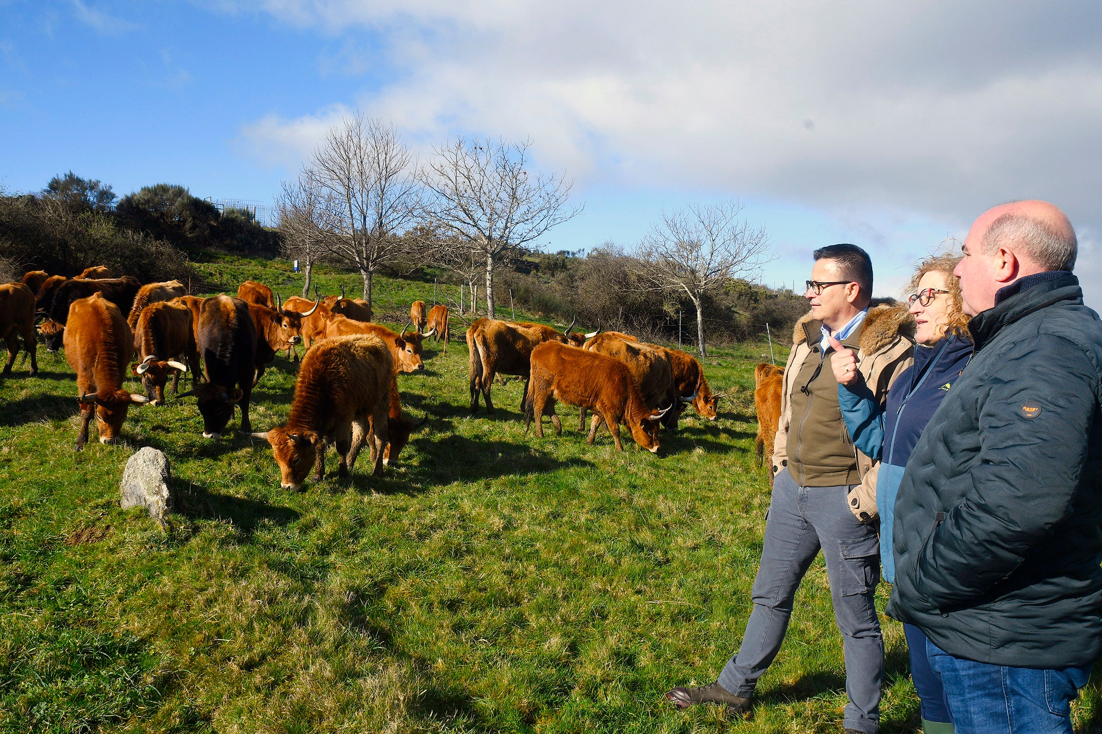 A Xunta pide a Bruxelas "máis ambición" nas medidas de apoio aos agriculotores e gandeiros A Xunta pide a Bruxelas "máis ambición" nas medidas de apoio aos agriculotores e gandeiros