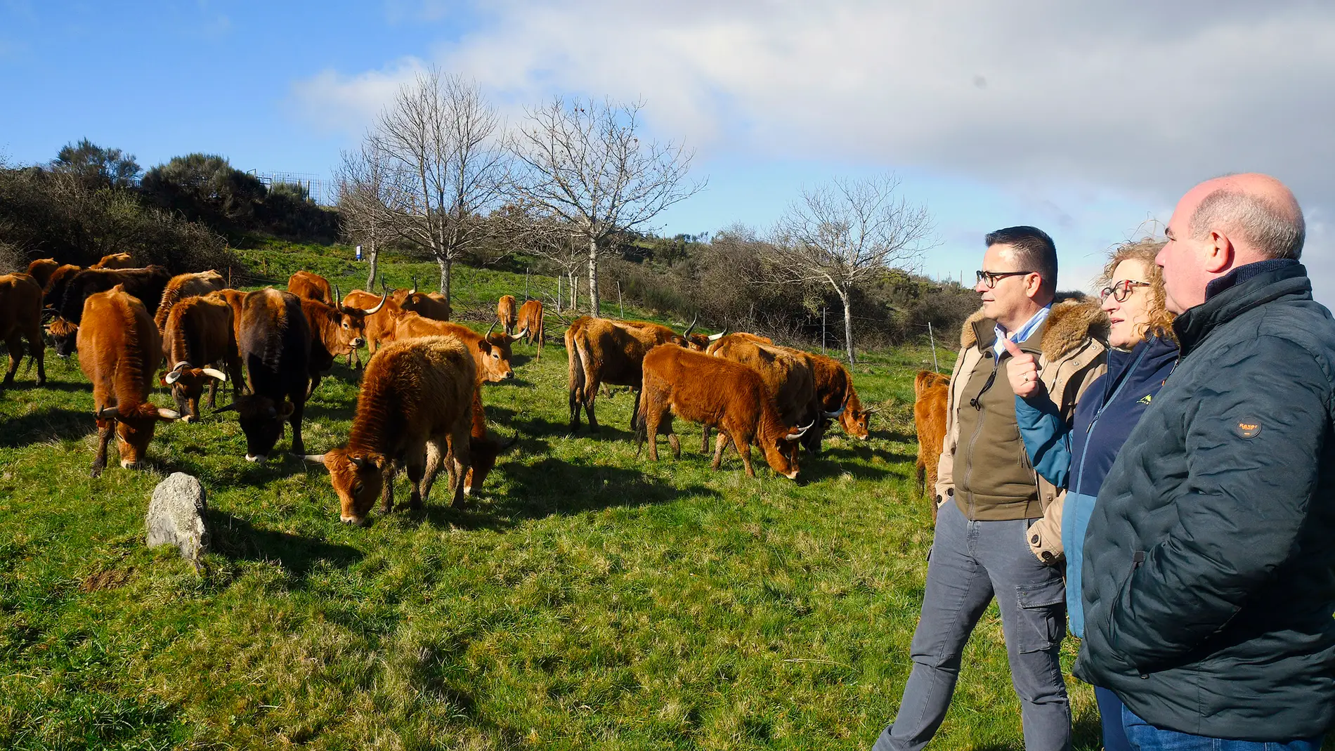 A Xunta pide a Bruxelas "máis ambición" nas medidas de apoio aos agriculotores e gandeiros