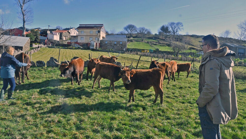 A Xunta pide a Bruxelas "máis ambición" nas medidas de apoio aos agriculotores e gandeiros