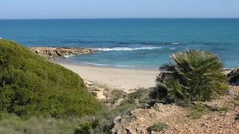 `Salvemos Cala Mosca' mantiene la petición de medidas cautelares para paralizar la construcción de 2.200 viviendas `Salvemos Cala Mosca' mantiene la petición de medidas cautelares para paralizar la construcción de 2.200 viviendas