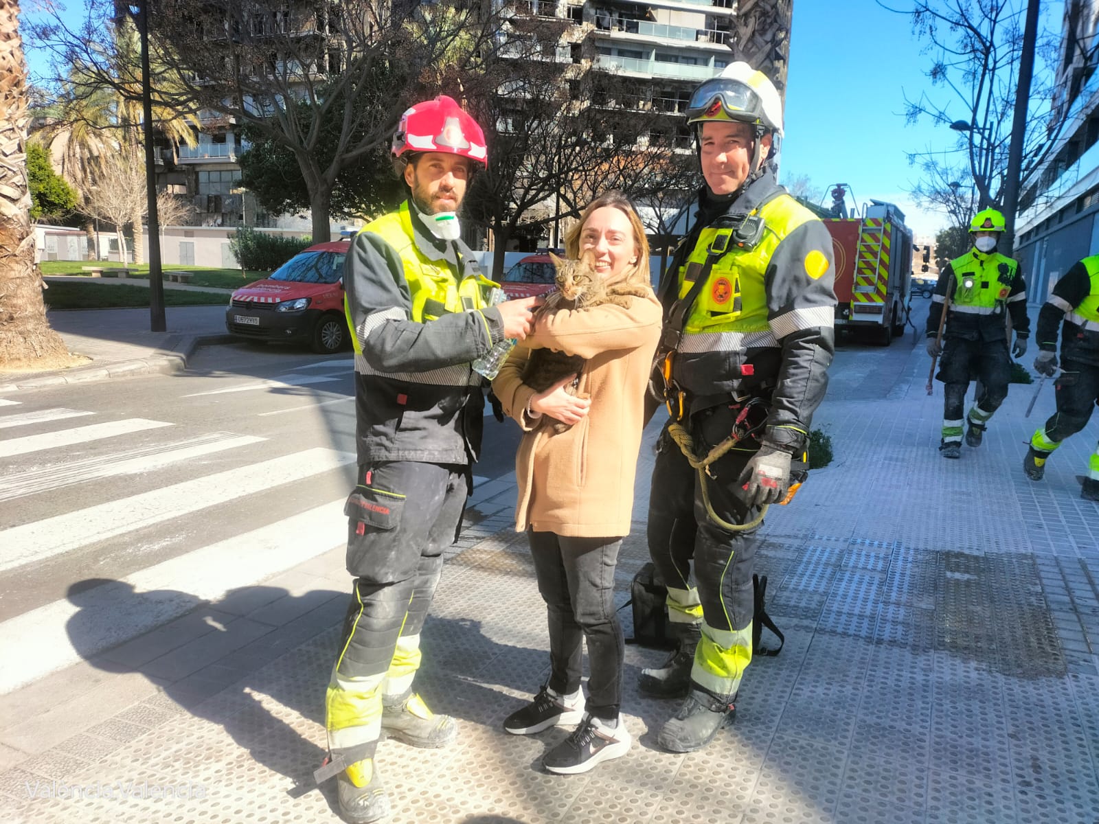 Coco, el gato que ha sobrevivido al incendio de Campanar, rescatado por los bomberos de València Coco, el gato que ha sobrevivido al incendio de Campanar, rescatado por los bomberos de València
