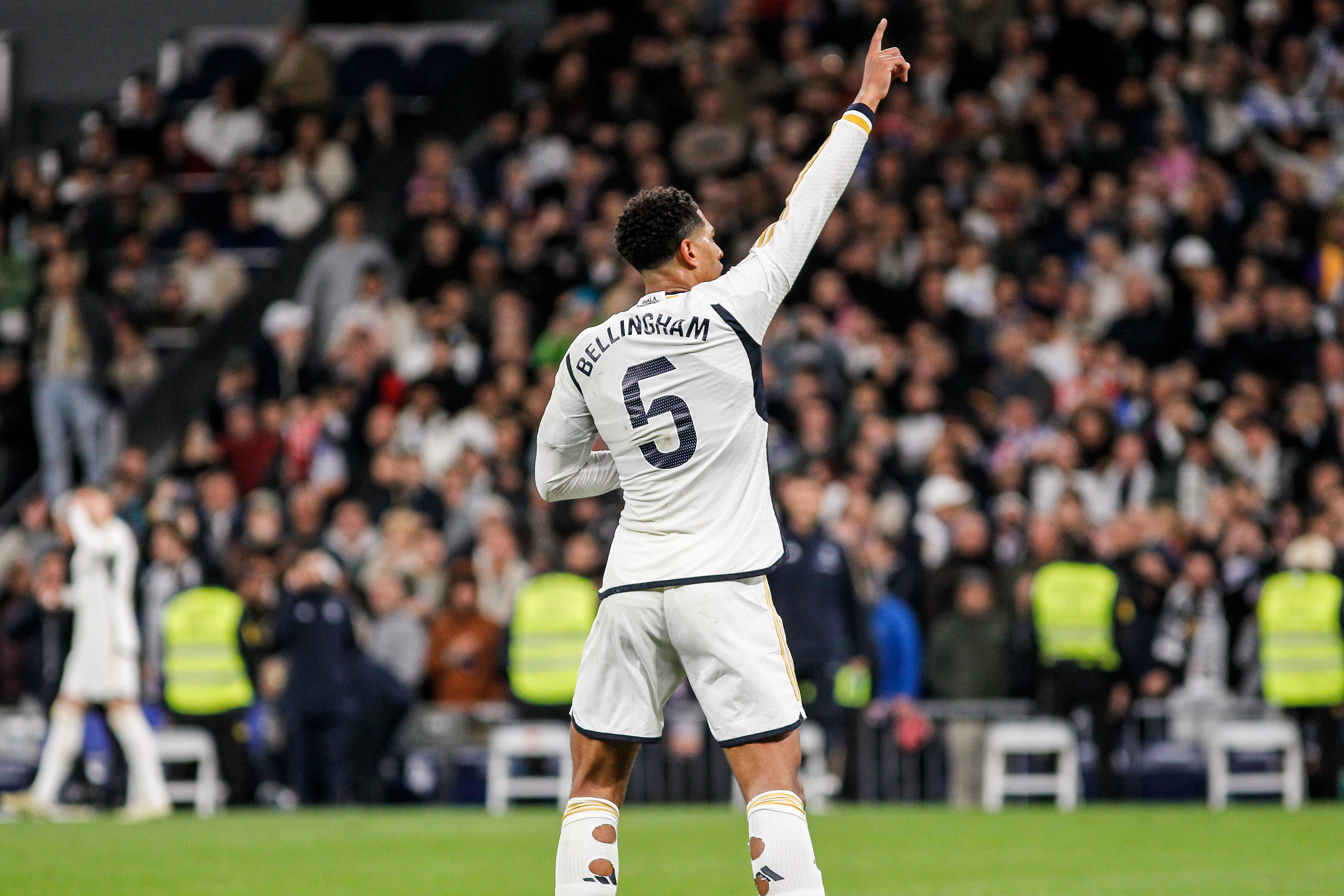 Manzano sin manzanas Manzano sin manzanas