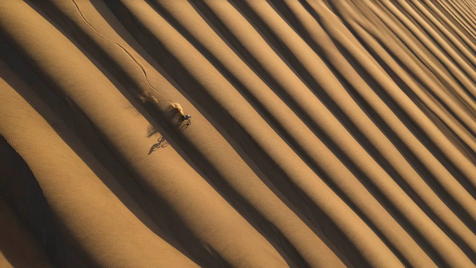 'The dune'