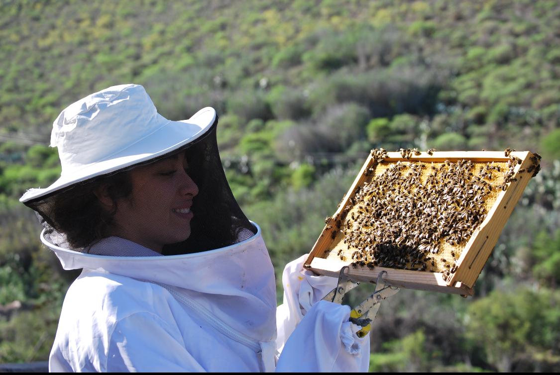 Soraya y Armando Godoy, los hermanos apicultores que salvarán a las abejas de la extinción Soraya y Armando Godoy, los hermanos apicultores que salvarán a las abejas de la extinción