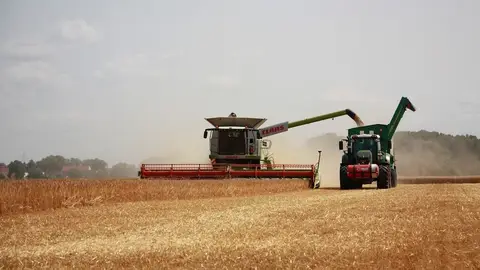 Los profesionales del campo siguen reclamando medidas para rescatar al sector Los profesionales del campo siguen reclamando medidas para rescatar al sector