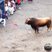 Imagen de archivo de un acto taurino de las fiestas de Santa Quitèria. Imagen de archivo de un acto taurino de las fiestas de Santa Quitèria.