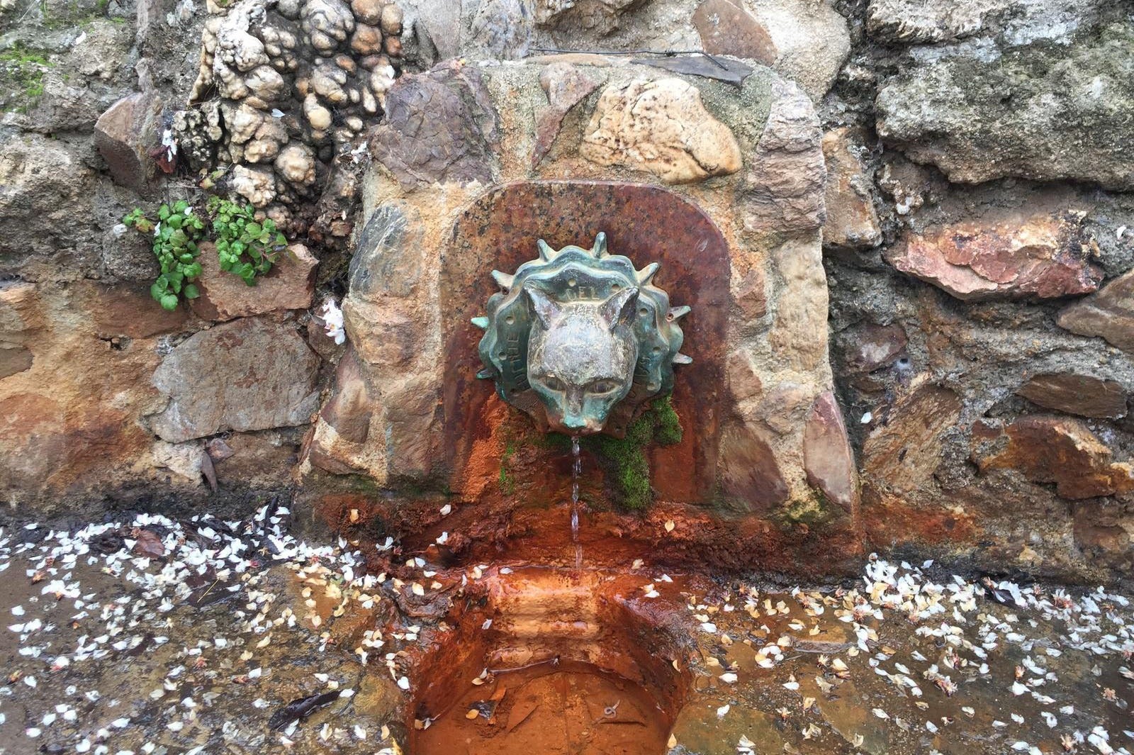 La tradición de celebrar San José en la Fuente del Gato de Vélez Rubio La tradición de celebrar San José en la Fuente del Gato de Vélez Rubio