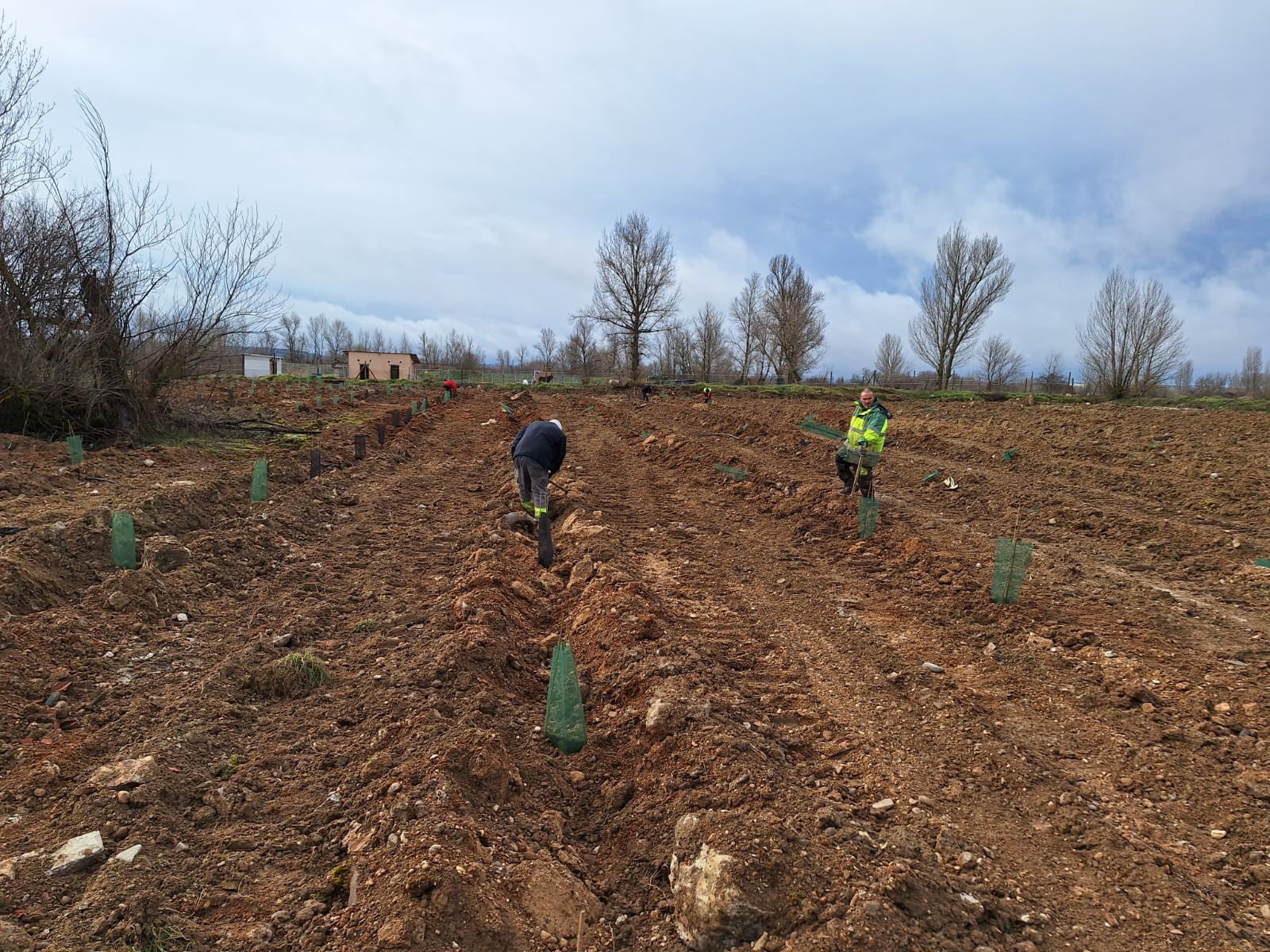 El AFF compensa las emisiones de su 35 edición a través de un proyecto para el fomento de la biodiversidad en Dueñas El AFF compensa las emisiones de su 35 edición a través de un proyecto para el fomento de la biodiversidad en Dueñas