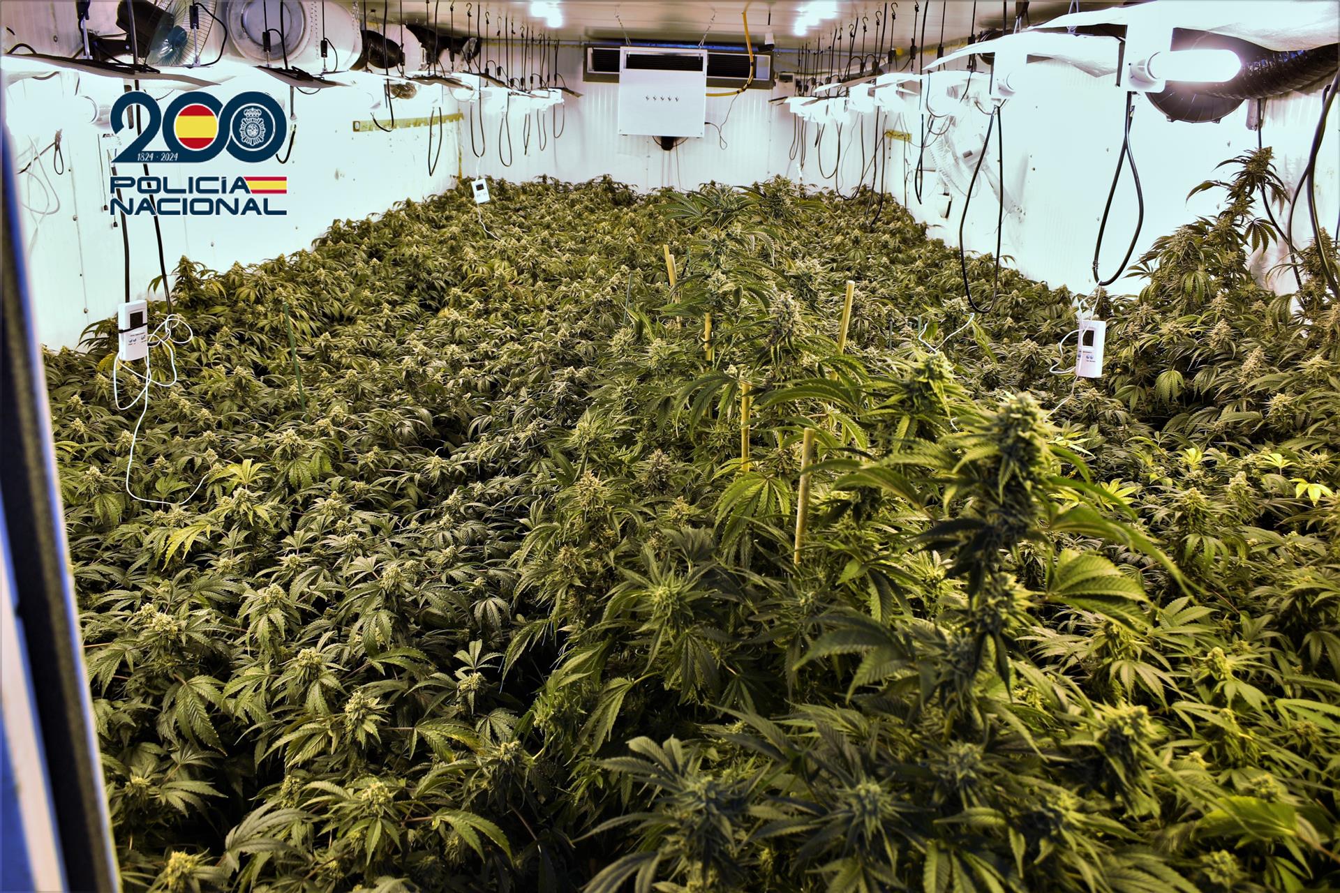Detenidas 23 personas como presuntas responsables de puntos de venta de droga en la Región Detenidas 23 personas como presuntas responsables de puntos de venta de droga en la Región