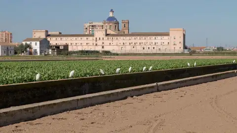 Vista del antiguo monasterio de San Miguel de los Reyes plan