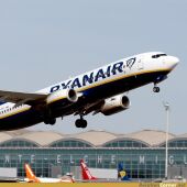 Un avión despega en el Aeropuerto Alicante-Elche 'Miguel Hernández'.