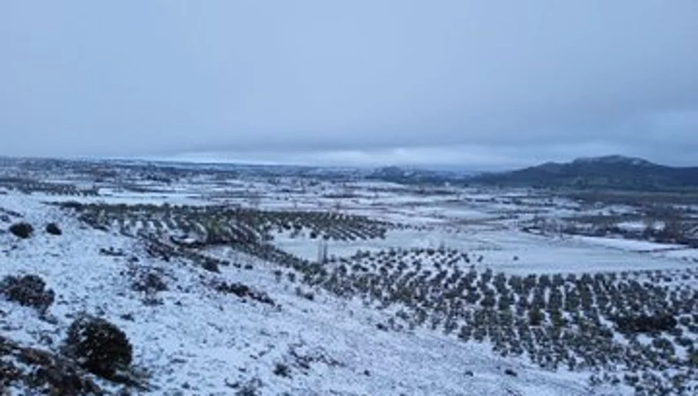 Nieve en la comarca de Campo de Montiel