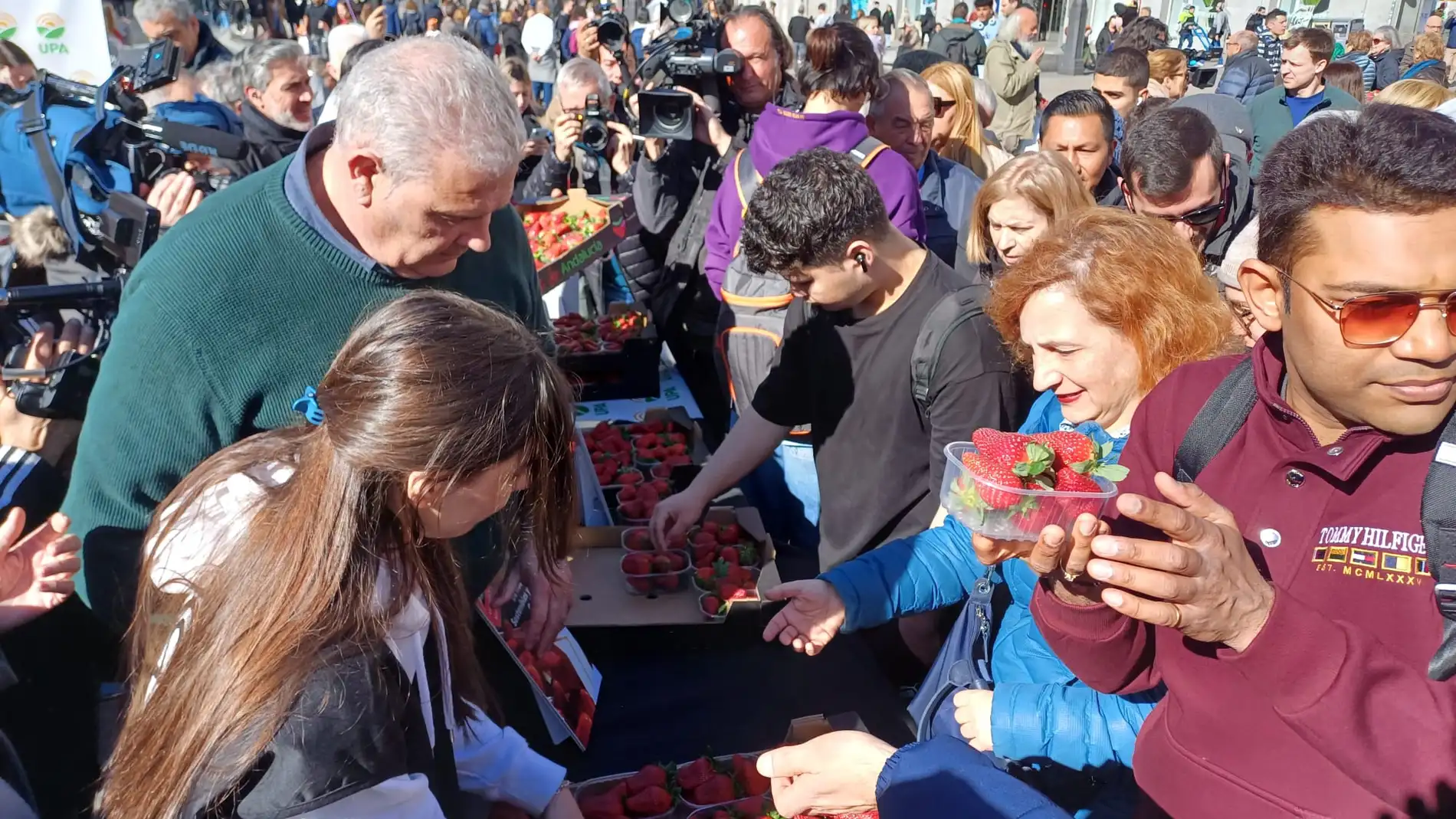 Los agricultores reparten mil kilos de fresas de Huelva en la Puerta del Sol