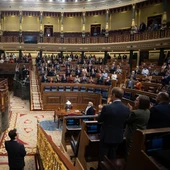 El Congreso tramitará este martes la ley de ayudas a pacientes con ELA El Congreso tramitará este martes la ley de ayudas a pacientes con ELA