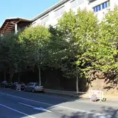 O PP denuncia que o goberno municipal ten paralizado o plan de poda O PP denuncia que o goberno municipal ten paralizado o plan de poda