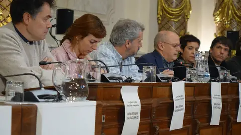 Concejales de EH Bildu durante el pleno monográfico sobre el comercio local en Donosti Concejales de EH Bildu durante el pleno monográfico sobre el comercio local en Donosti