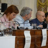 Concejales de EH Bildu durante el pleno monográfico sobre el comercio local en Donosti