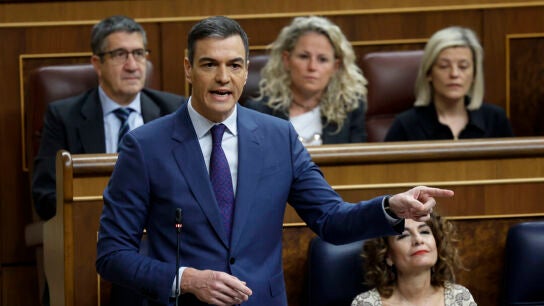 El presidente del Gobierno, Pedro S&aacute;nchez, interviene durante la sesi&oacute;n de control al Gobierno/ EFE/Chema Moya