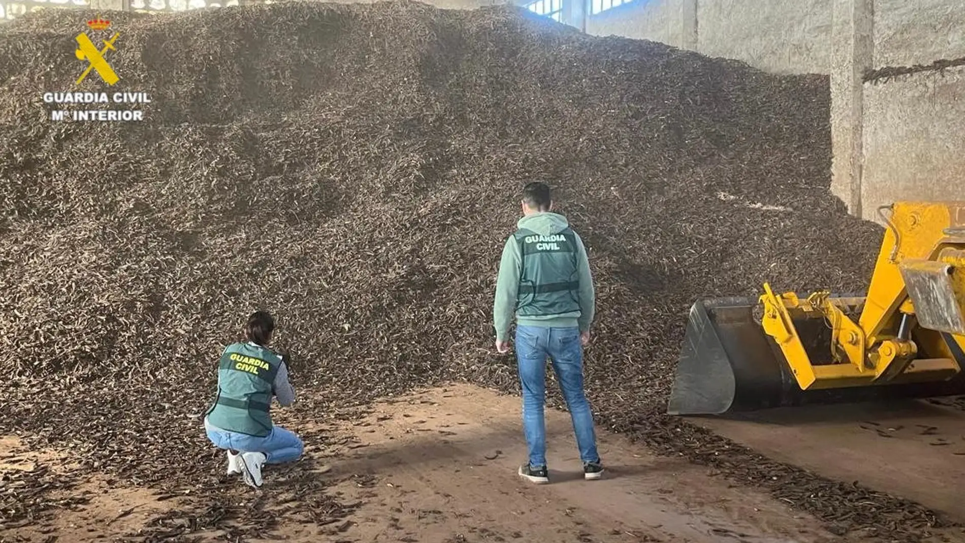 Detienen en Vinaròs por introducir en el mercado de manera ilícita más de 37 toneladas de olivas y algarrobas 