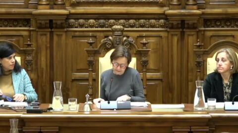 Pleno ordinario del Ayuntamiento de Gij&oacute;n