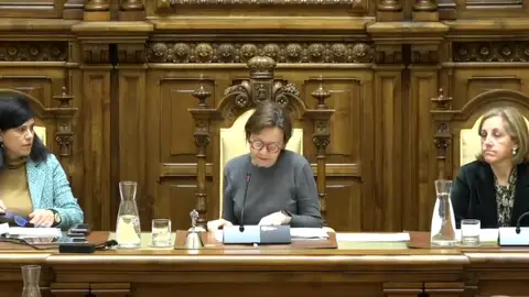 Pleno ordinario del Ayuntamiento de Gijón Pleno ordinario del Ayuntamiento de Gijón