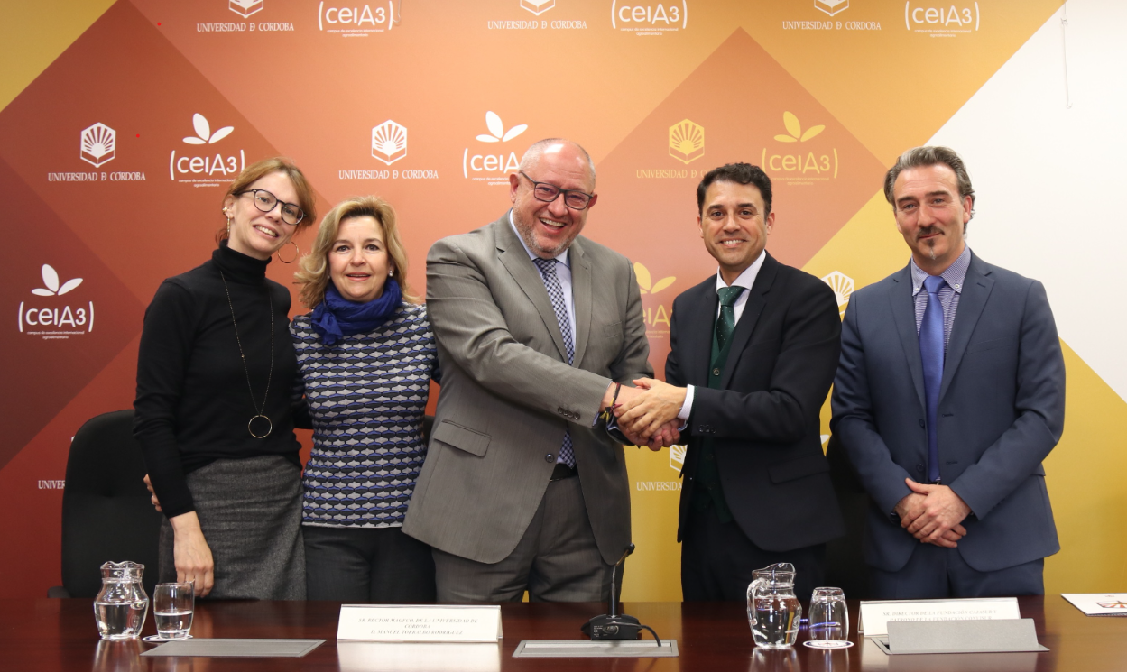 I Congreso Internacional de Investigación e Innovación sobre los derechos de la Infancia I Congreso Internacional de Investigación e Innovación sobre los derechos de la Infancia