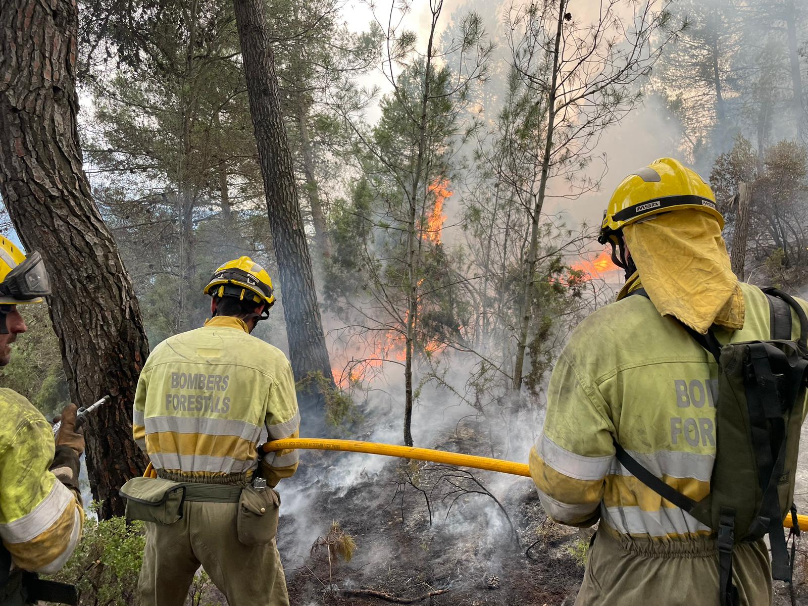 Sagunto no tendrá unidad de Bomberos Forestales específica para el verano Sagunto no tendrá unidad de Bomberos Forestales específica para el verano
