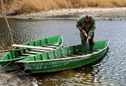Últimos pescadores de las Tablas de Daimiel: "Pescábamos cangrejos y carpas, antes era un paraíso, ahora casi todo está seco" Últimos pescadores de las Tablas de Daimiel: "Pescábamos cangrejos y carpas, antes era un paraíso, ahora casi todo está seco"