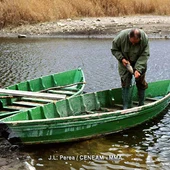 Un pescador en las Tablas de Daimiel Un pescador en las Tablas de Daimiel