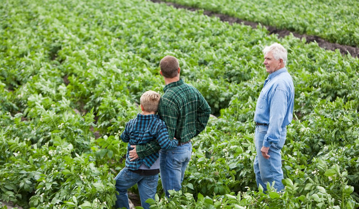 AVA Asaja advierte en 5 años se abandonarán 3 de cada 5 hectáreas de cultivo en nuestra provincia AVA Asaja advierte en 5 años se abandonarán 3 de cada 5 hectáreas de cultivo en nuestra provincia