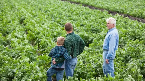 IA en agricultura IA en agricultura