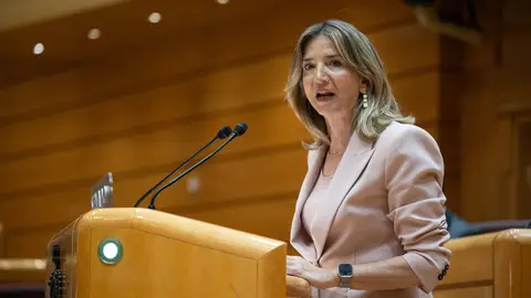 La portavoz del PP del Senado, Alicia García, durante su intervención en el Senado La portavoz del PP del Senado, Alicia García, durante su intervención en el Senado